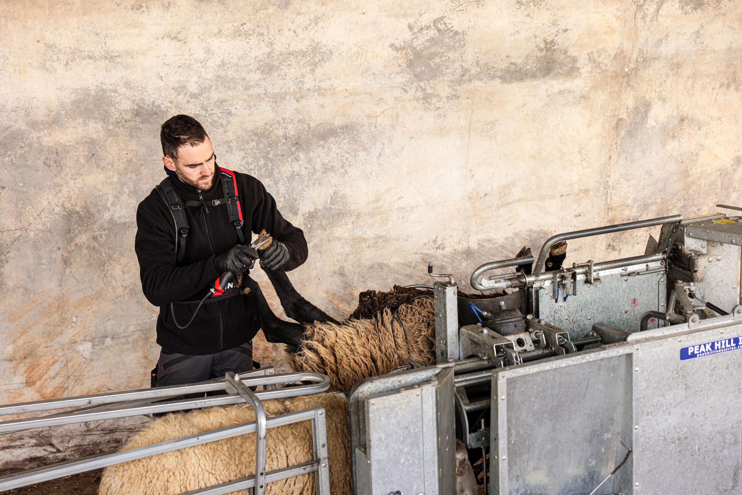 INFACO Hoof Trimmer Blade Kit Lakeview Vineyard Equipment