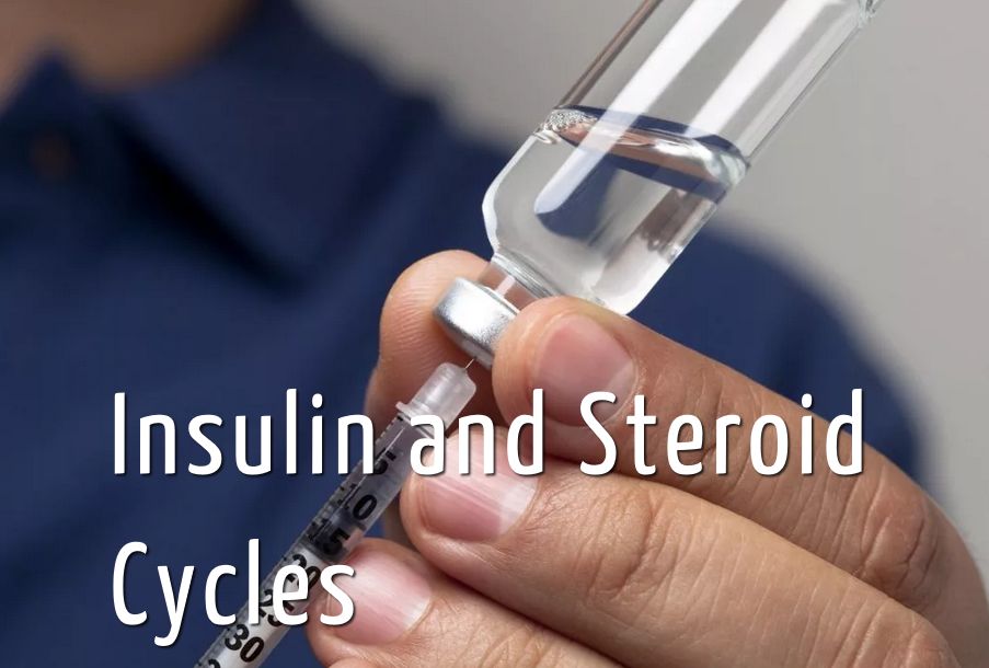 Insulin Bodybuilding Can Insulin be Beneficial for Bodybuilders During