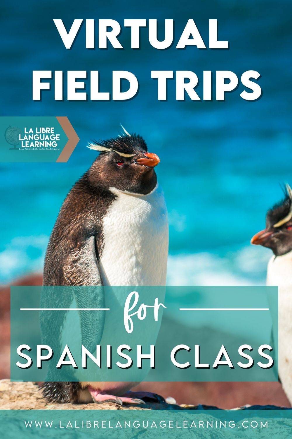 Virtual Field Trips for Spanish Class La Libre Language Learning