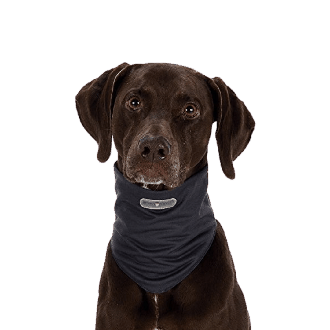 Trixie Insect Shield Dog Loop