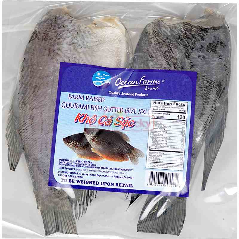 OF SALT GOURAMI FISH XXL LA LUCKY IMPORT EXPORTS
