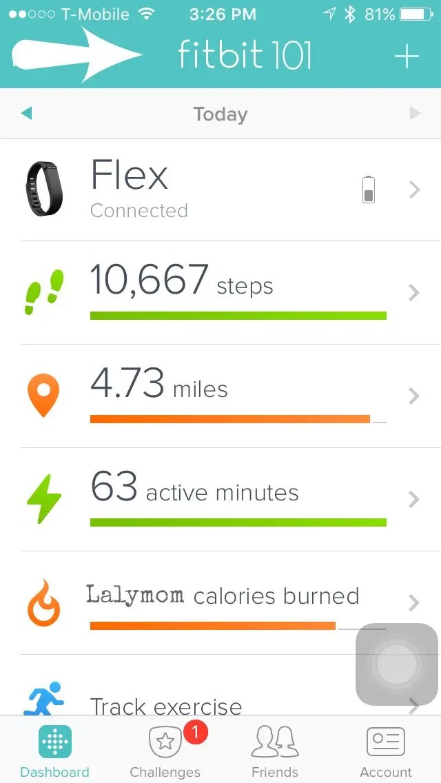 What is a Fitbit? What Does it Do, and How Do I Get Started? LalyMom