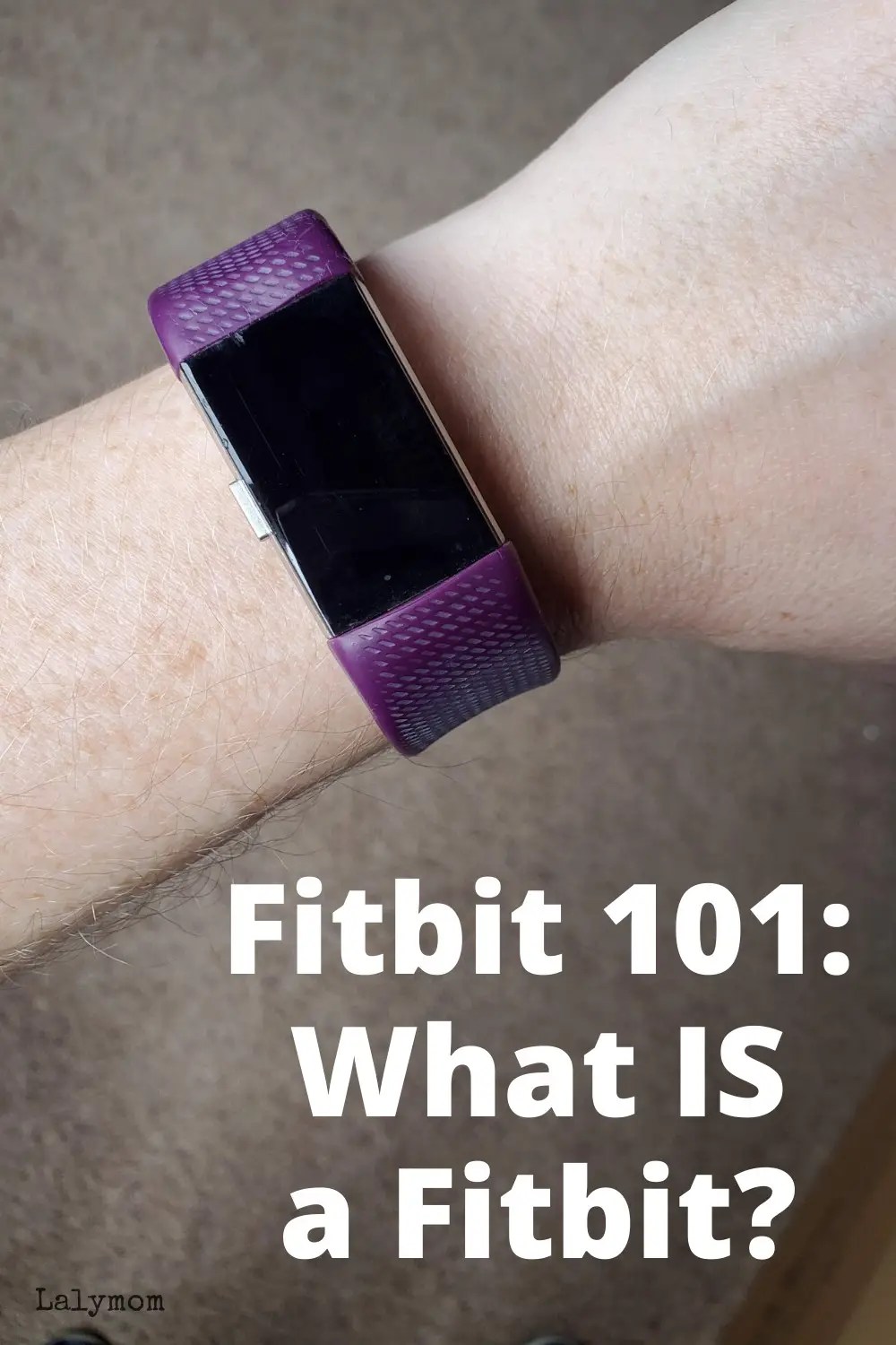 What is a Fitbit? What Does it Do, and How Do I Get Started? LalyMom