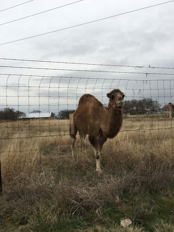 La Mancha Lake Ranch