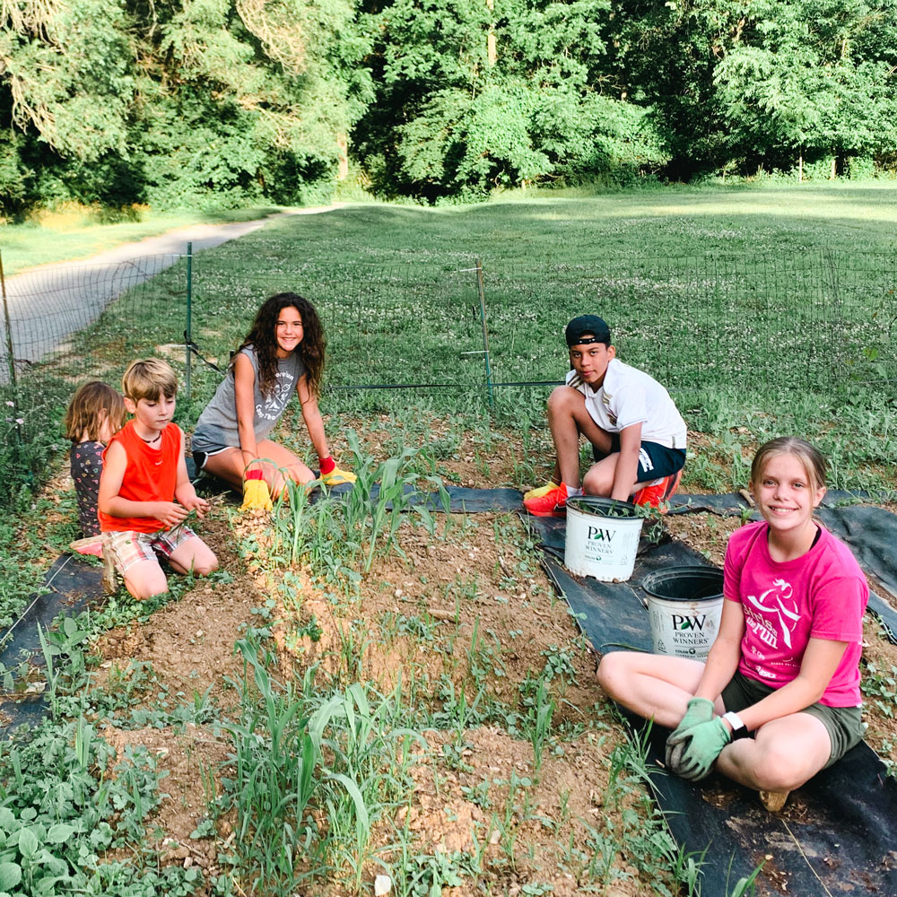 Lamberton Community Garden Learn how to care for the land