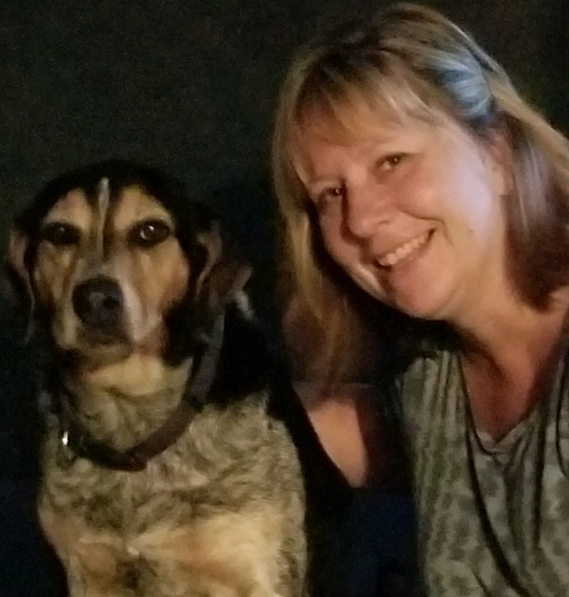 Contact Our Lambertville, Michigan Veterinarians at Lambertville