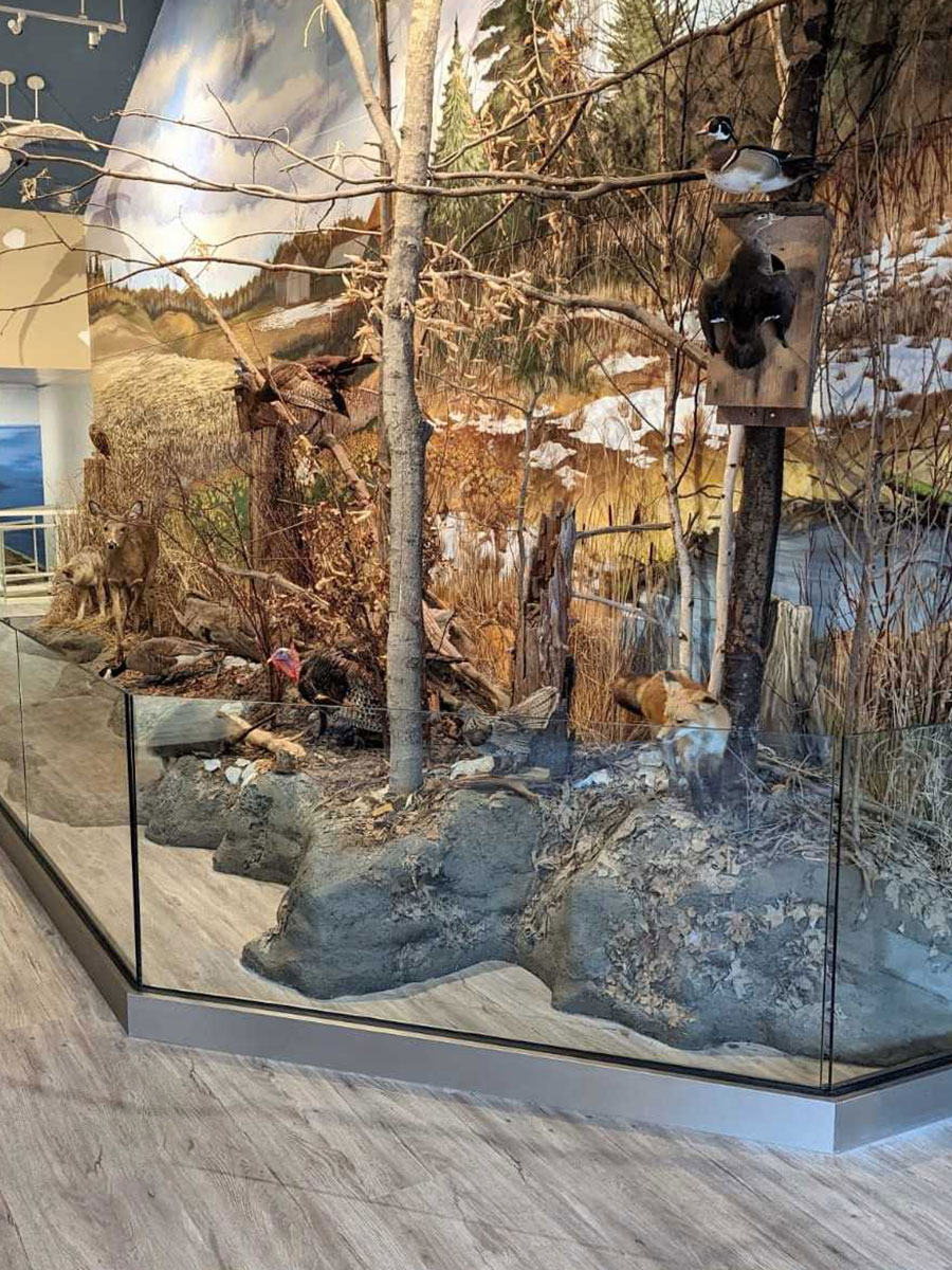 Quality Custom Glass Service Lambton Glass & Mirror London, Ontario