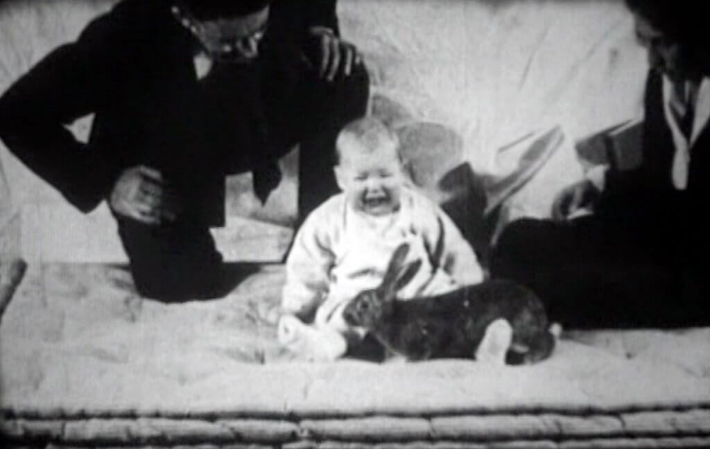 El experimento del pequeño Albert La Mente es Maravillosa
