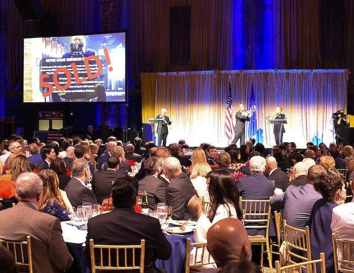 Fundraising Professional & Event Auctioneer in Michigan