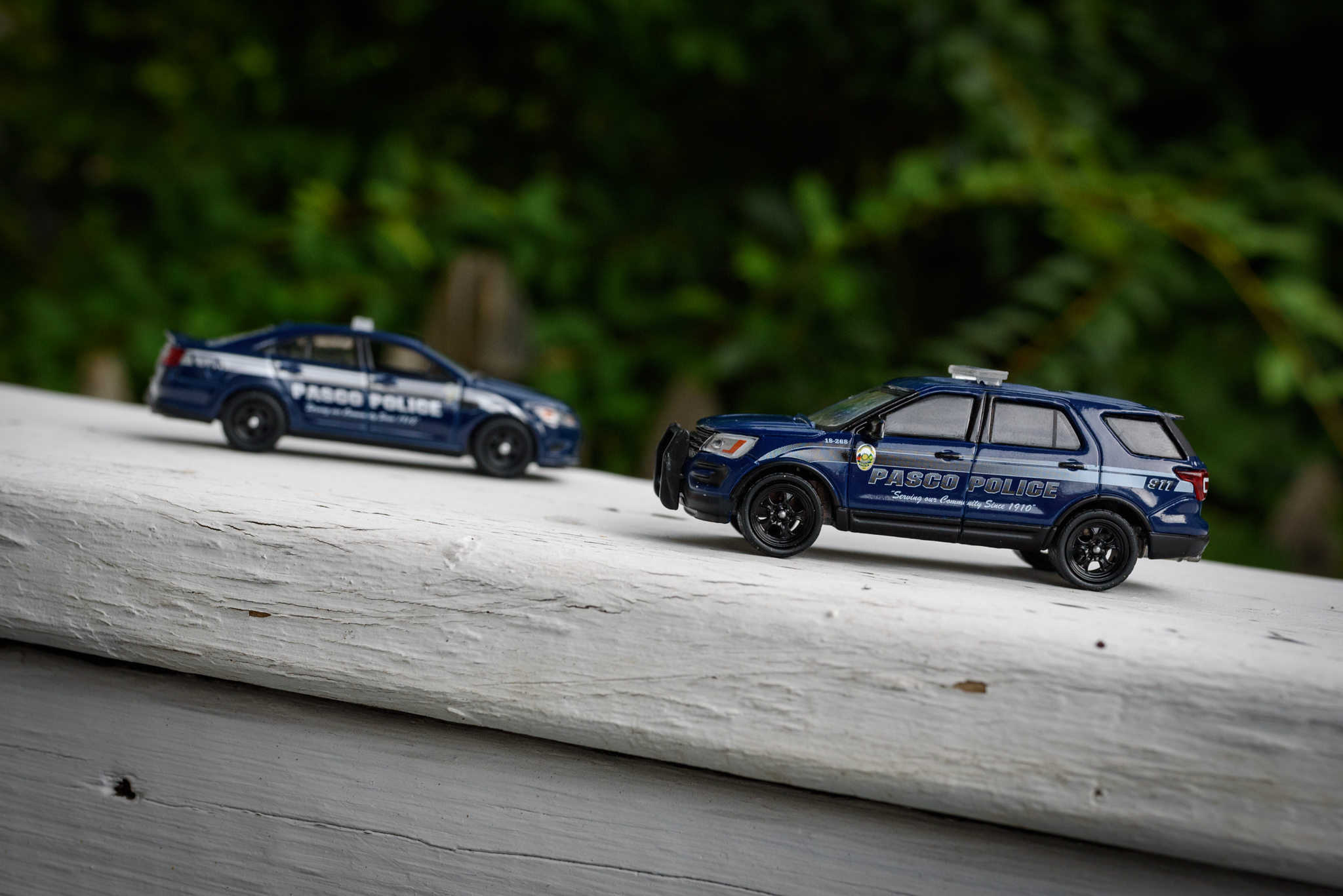 Lamley Daily Greenlight Hot Pursuit Pasco Police SUV LamleyGroup