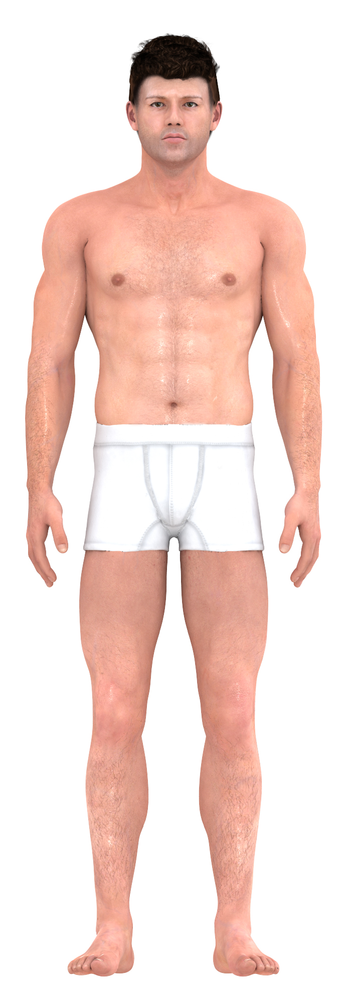 Average Male Body Type