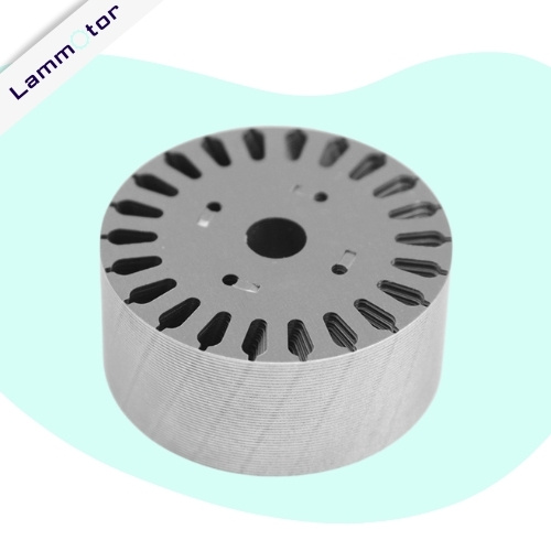 Motor Rotor Laminations Manufacturer in China Lammotor