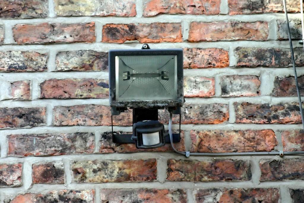 Best Flood Light Ideas For Your Backyard LampHQ
