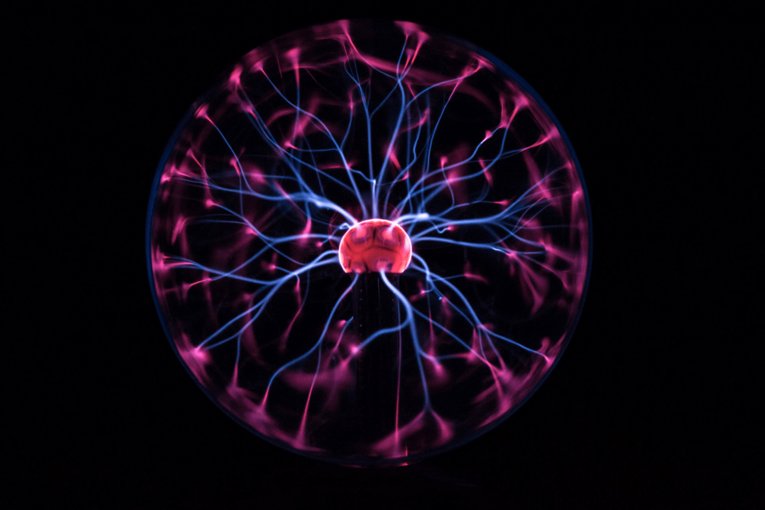 LED vs. Halogen: The Bright Battle – Who Wins? - LampHQ