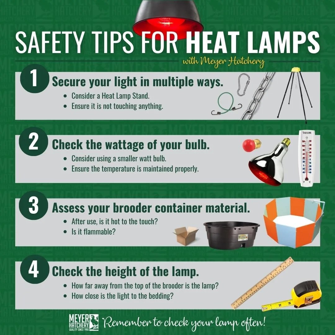 admin_lampity, Author at lampity