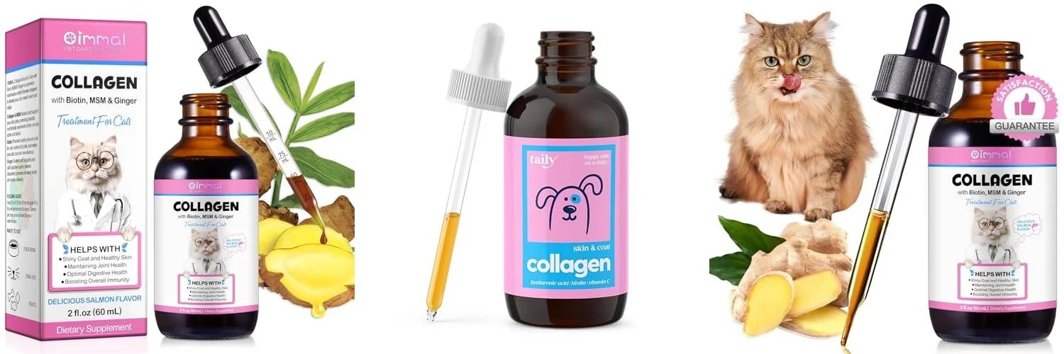 Top 5 Collagen Supplements for Cats Reviews &amp; Buying Guide