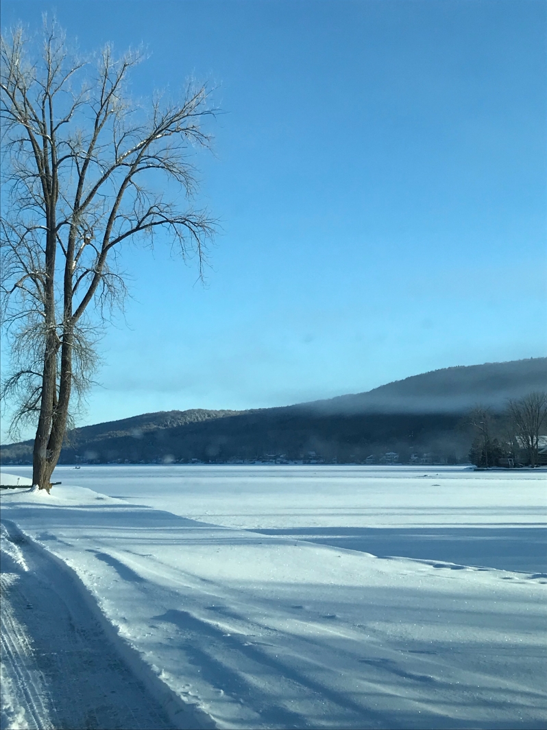 Lamp Post House Vacation Home DeRuyter Lake NY