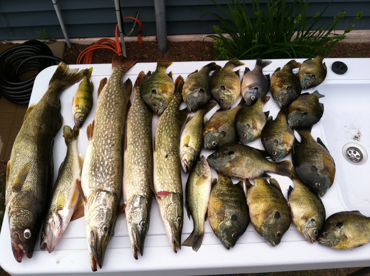 Home Lamusga Angling Outdoors