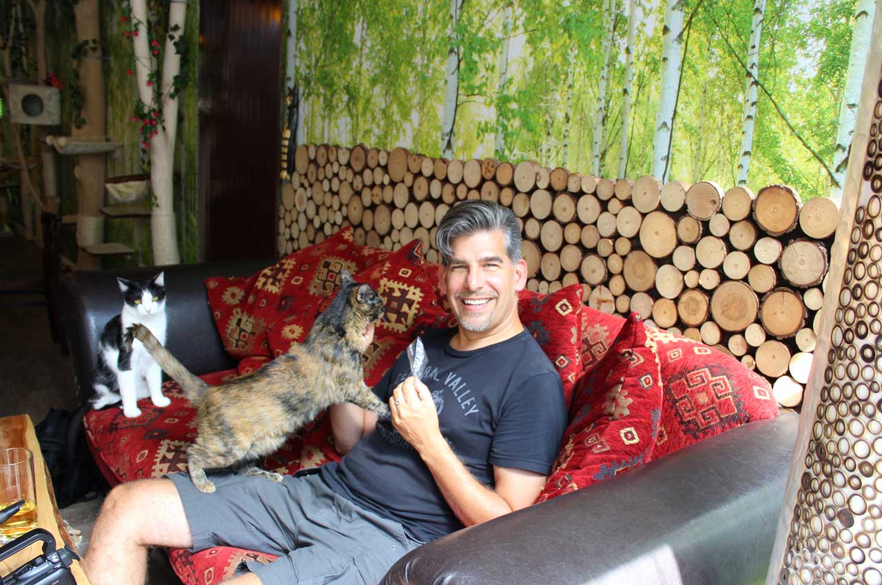 Erfahrungsbericht Cat´n´coffee Katzencafe in Klagenfurt