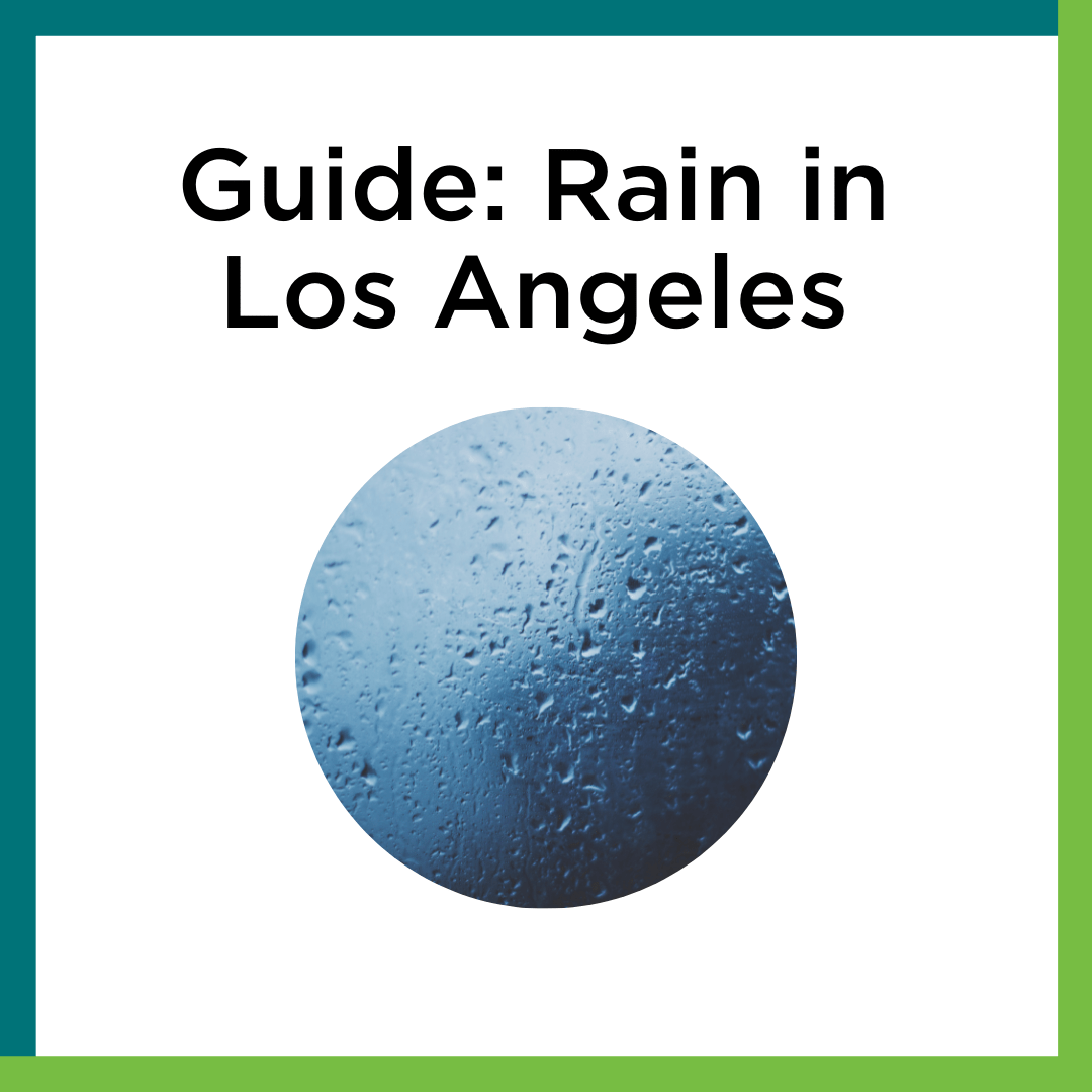 Guide Rain in Los Angeles Nature for All