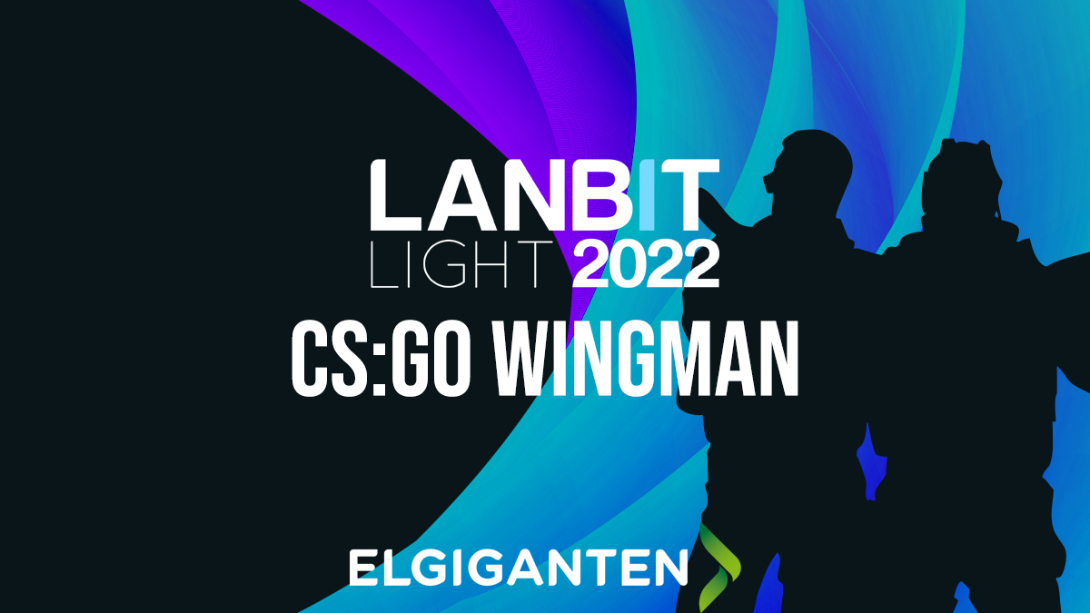 WINGMAN LANBIT