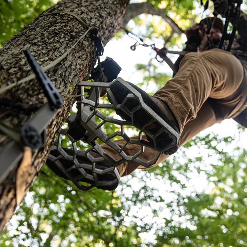 Search Results Lancaster Archery Supply