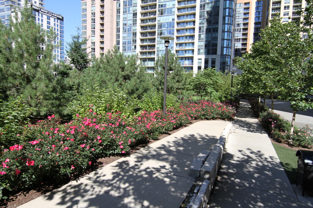 LSE pathway across from the Lancaster Lancaster Condominiums