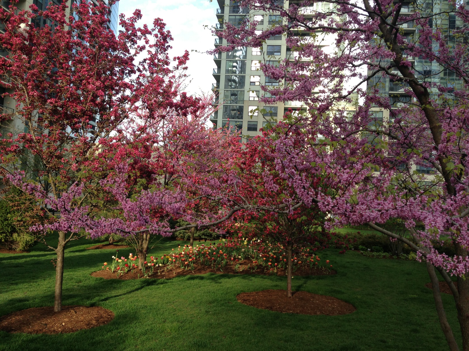 Springtime in LSE Park Lancaster Condominiums