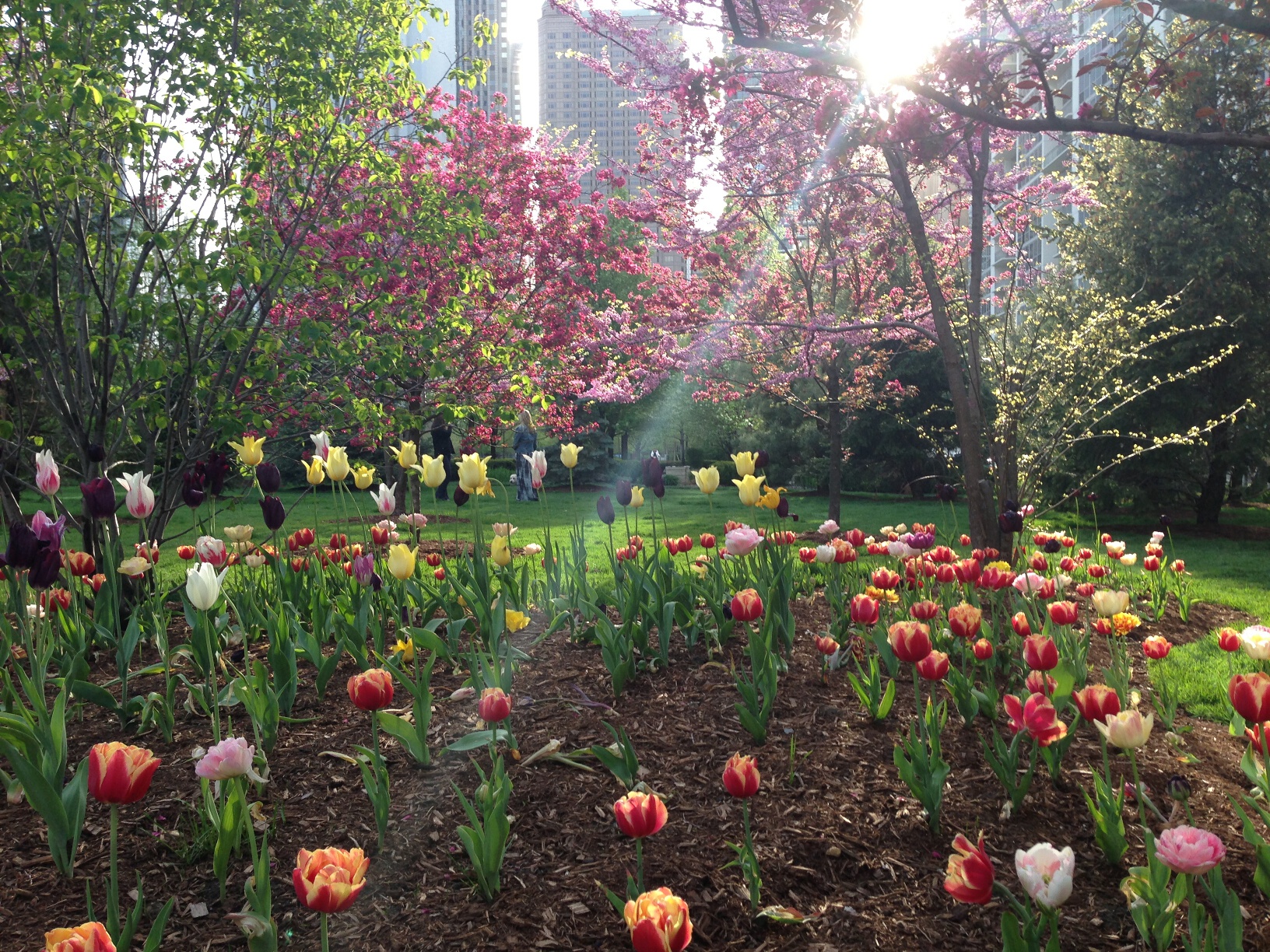 Chicago Lancaster Condominiums