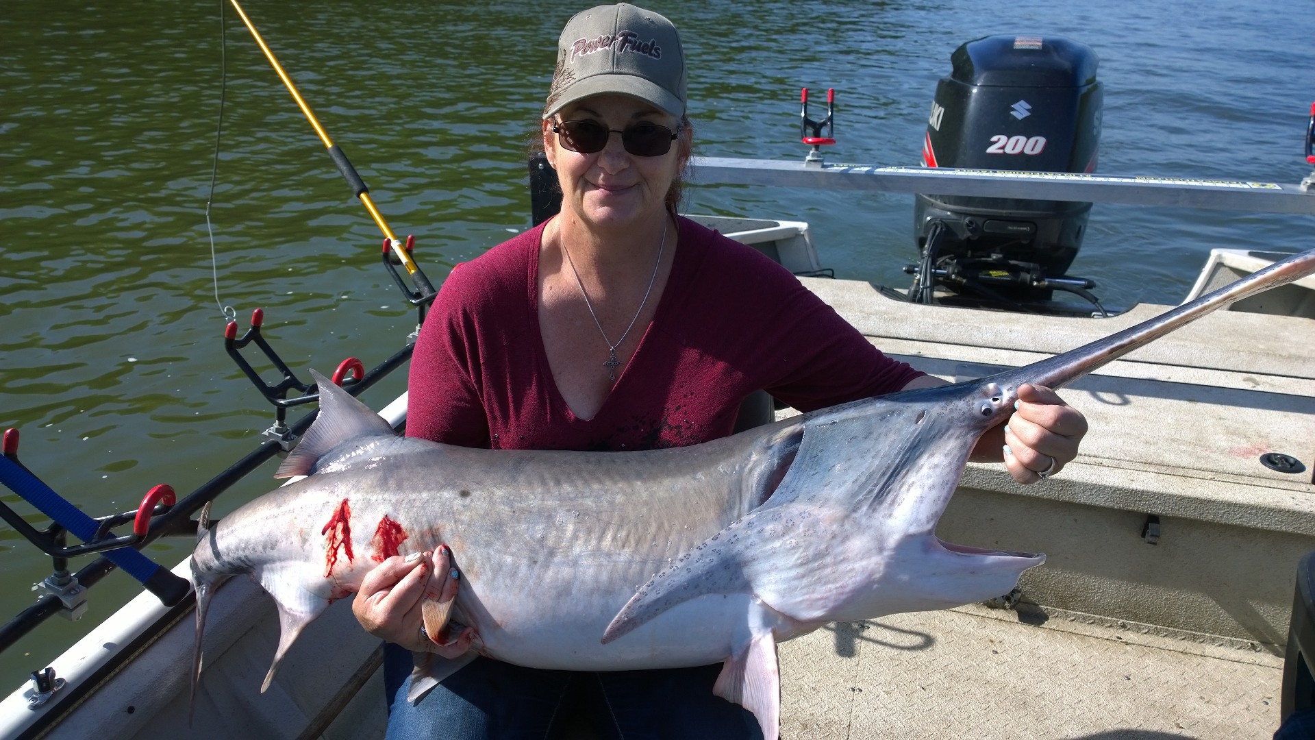 Spoonbill Paddlefish and White Bass on Fort Gibson Lake