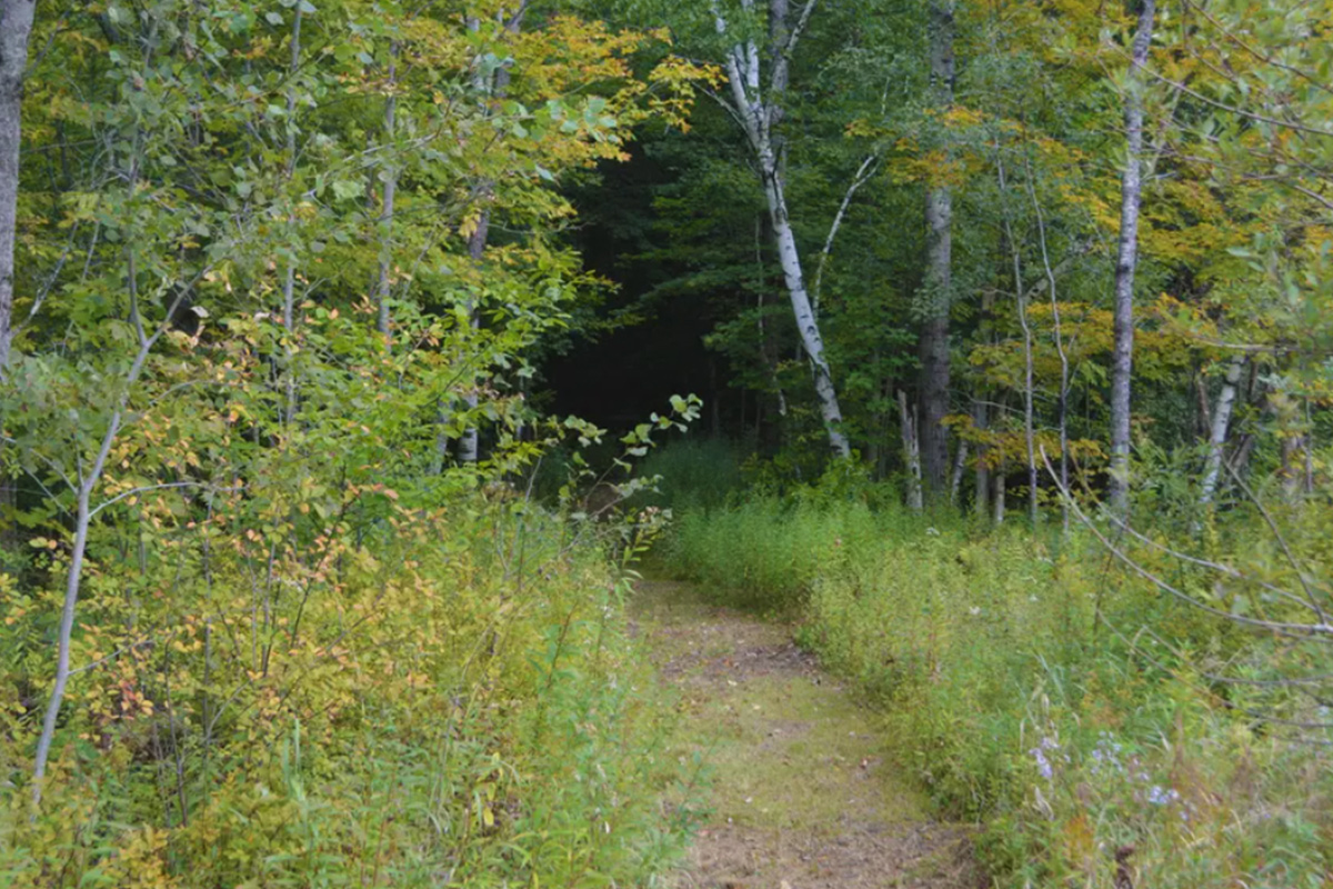 Sold/Off The Market Southerly Views in Savoy HUTS Land Listings