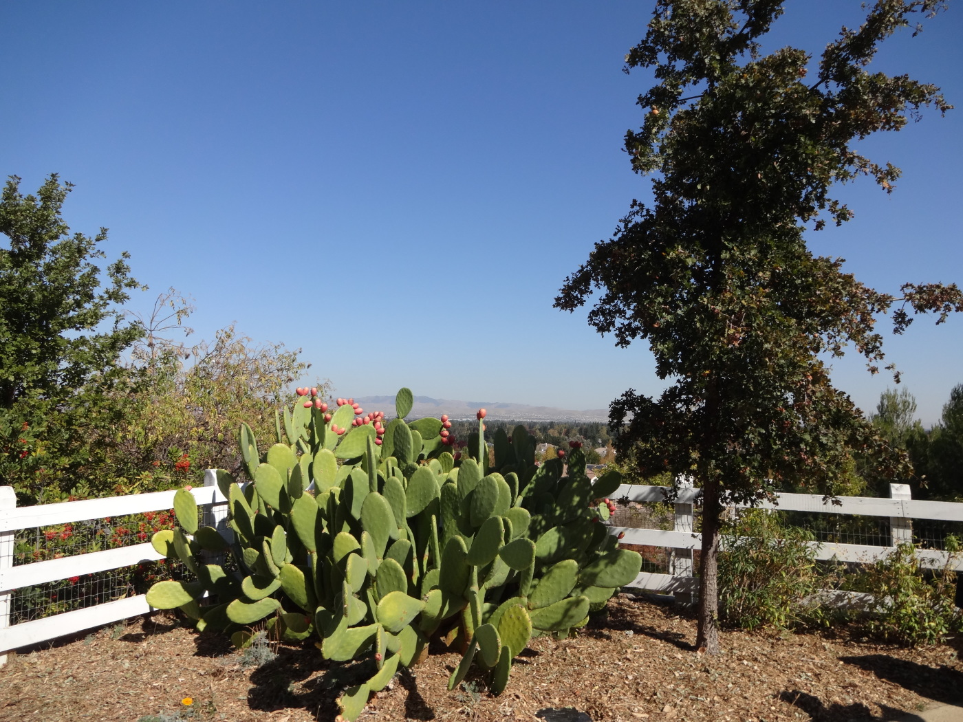 Alviso 5th Anniversary event 1 Land8