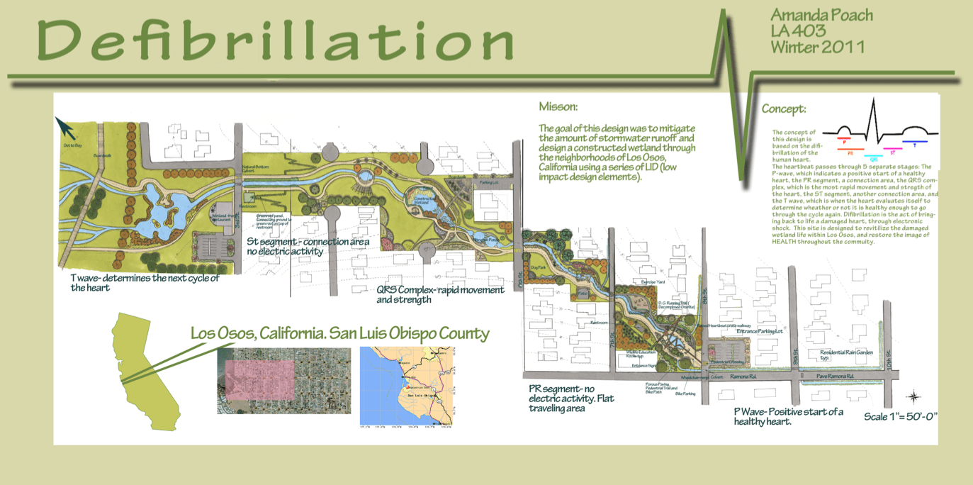 Wetland Restoration Master Plan Los Osos Land8