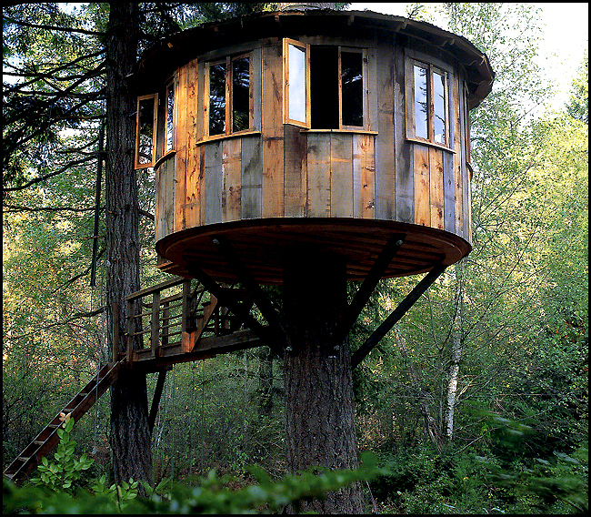 Interview with Pete Nelson of Animal Treehouse Masters Land8