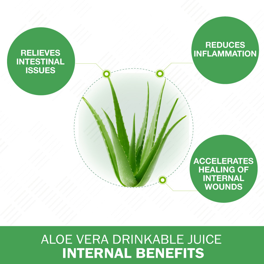 Aloe Vera Juice unflavored Land Art Supplements