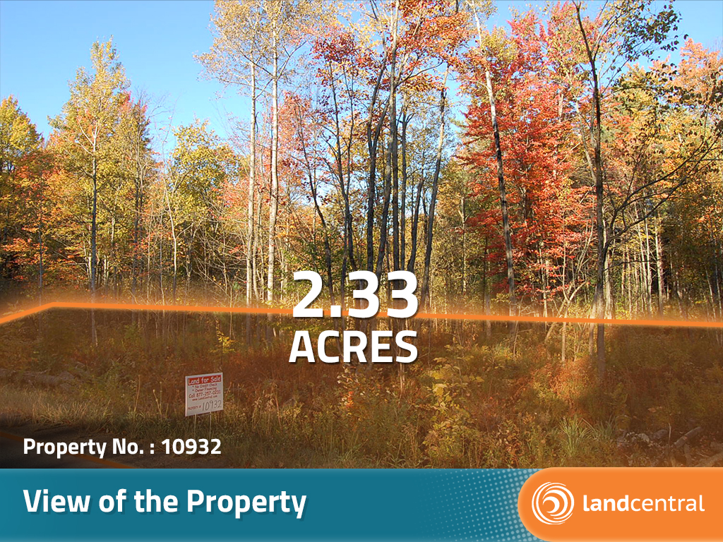 Quiet Acreage in Upstate New York7