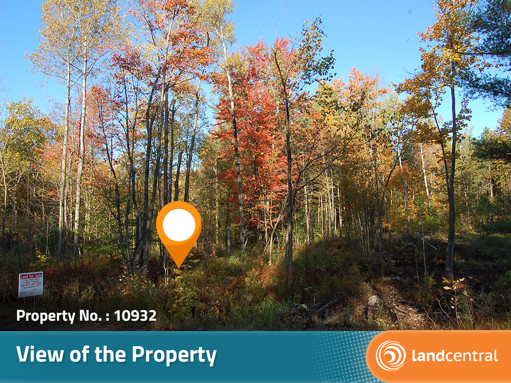 Quiet Acreage in Upstate New York3