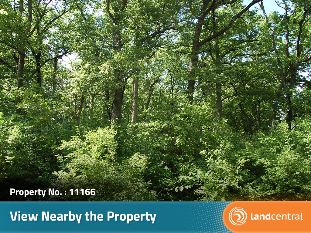 Tree Covered Lake Ozawkie Kansas Lot9