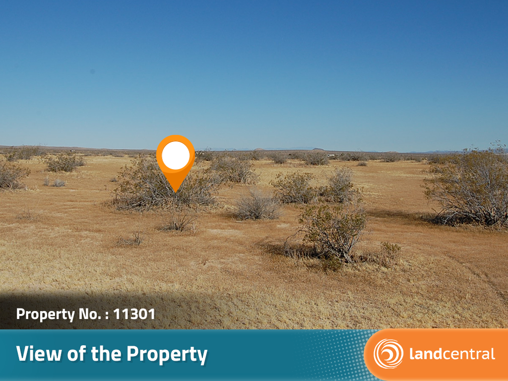 Great Access Acreage Near Lake Los Angeles6