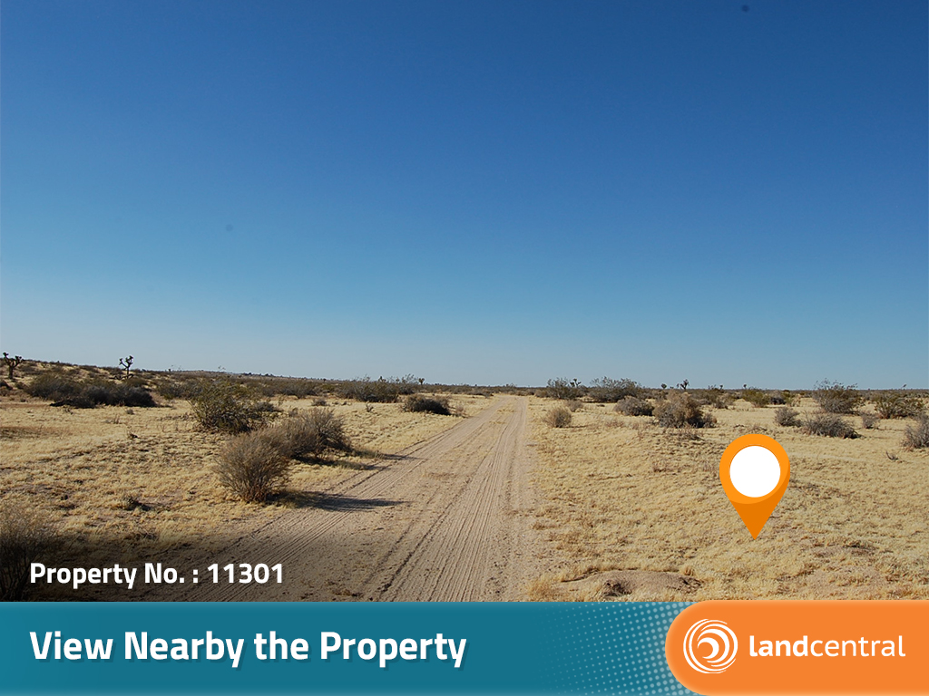 Great Access Acreage Near Lake Los Angeles3