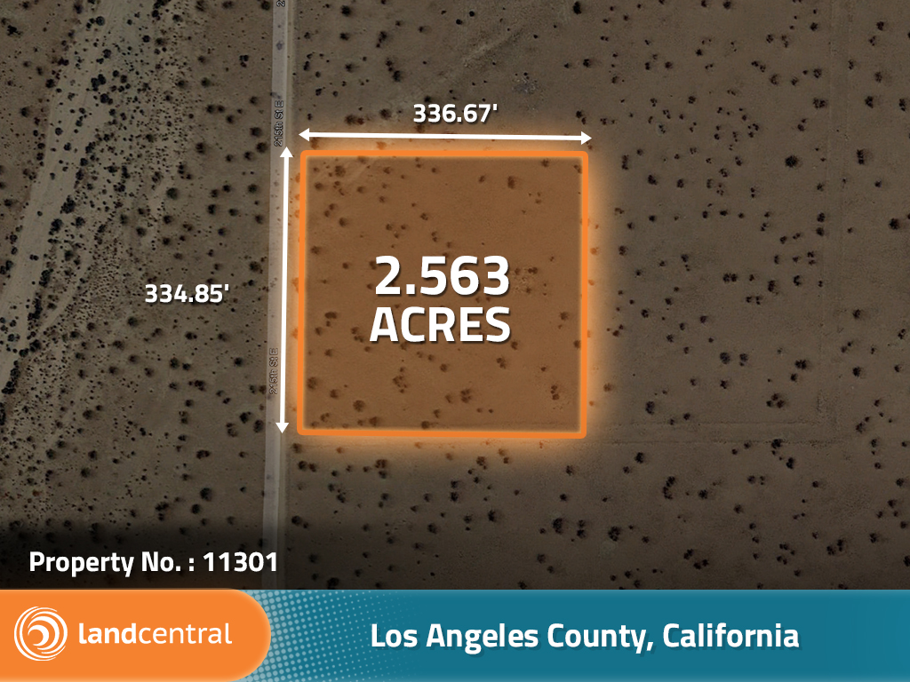 Great Access Acreage Near Lake Los Angeles1