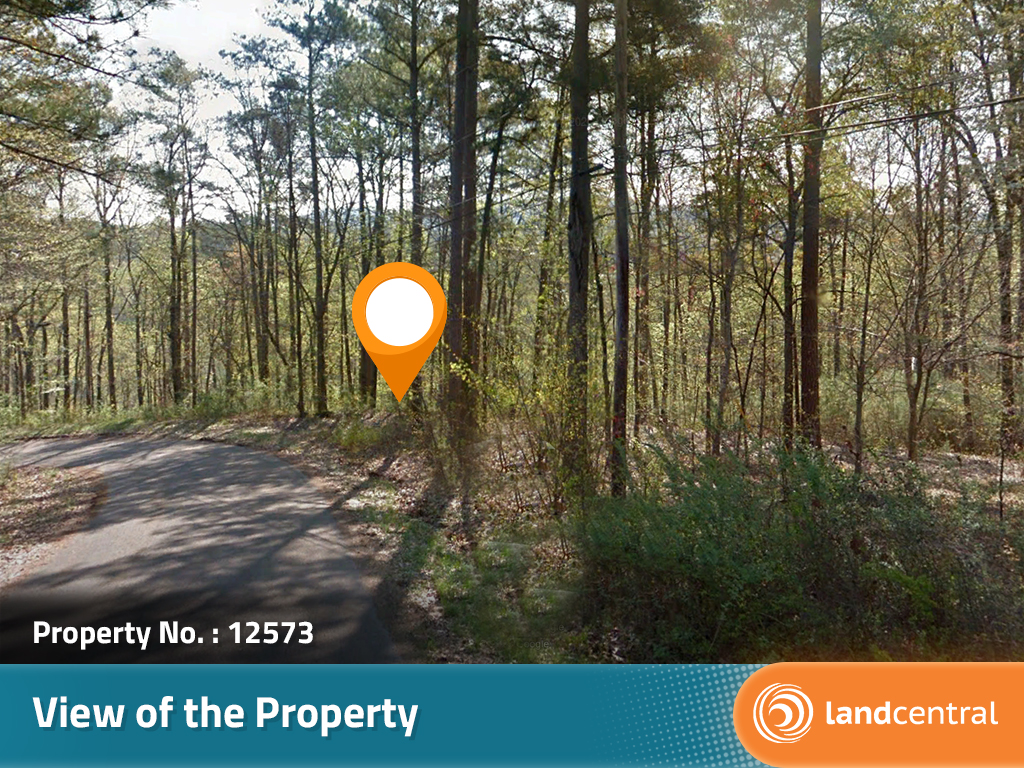 Acreage Close to Main Highway in North East Alabama4