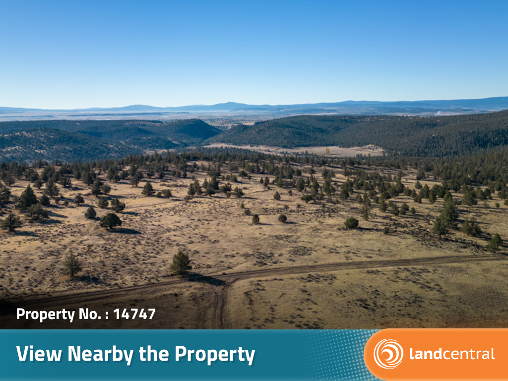 Secluded property in the Modoc Recreational Estates7