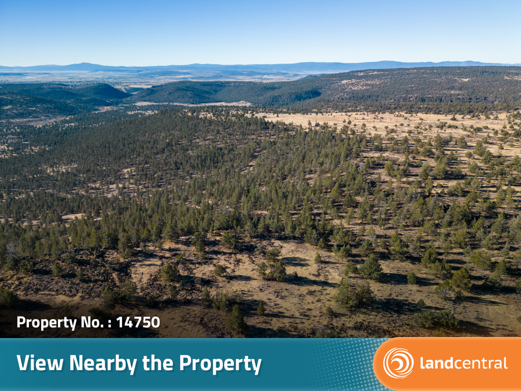 Spacious Lot in Modoc Recreational Estates4