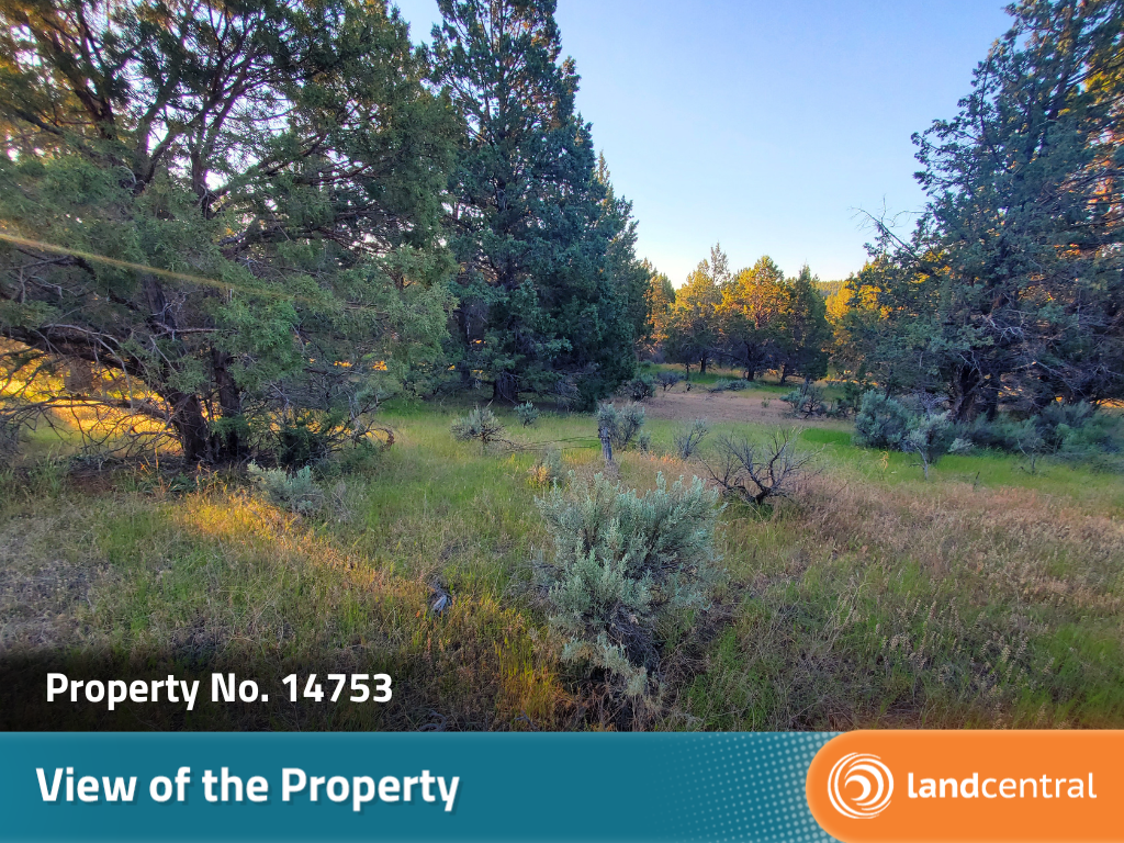 Vast property in Northern California8