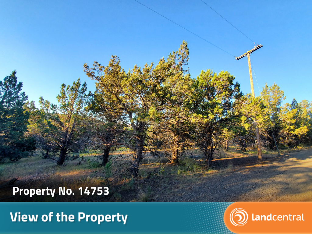 Vast property in Northern California6