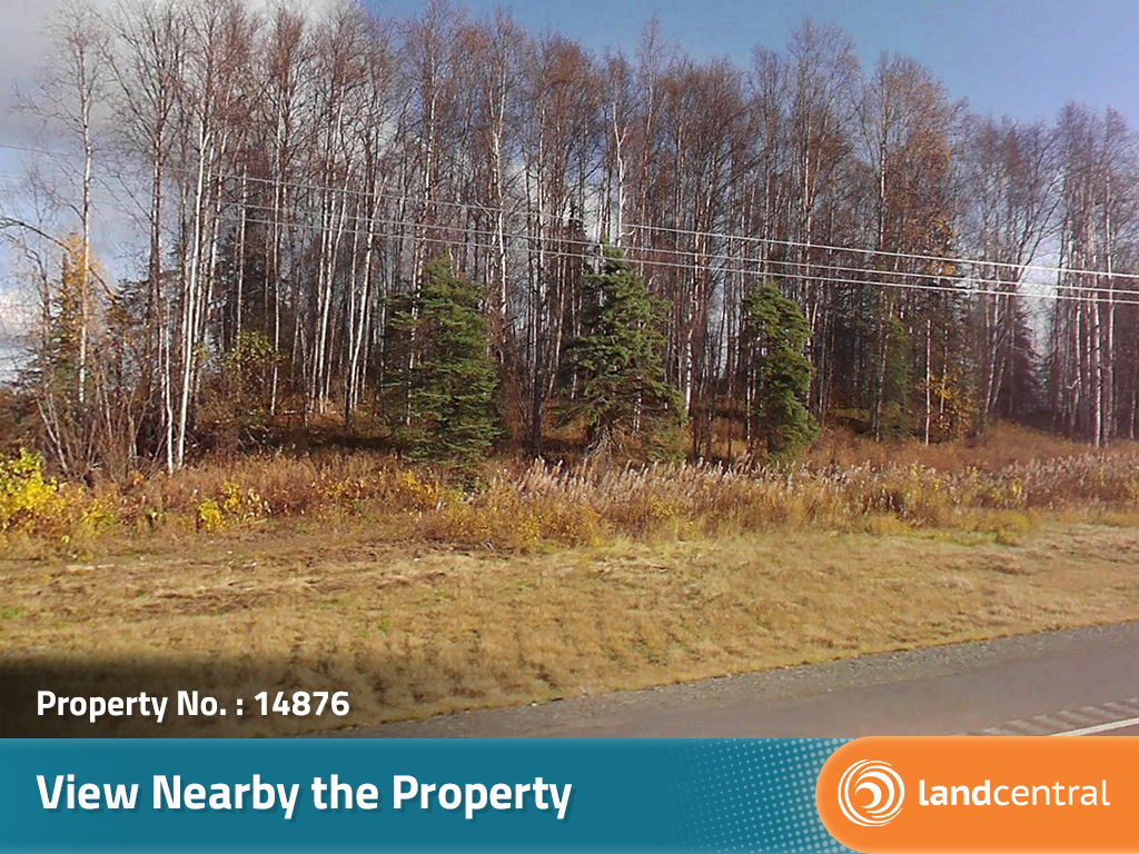 Large, ten acre lot in a resort town in Alaska7