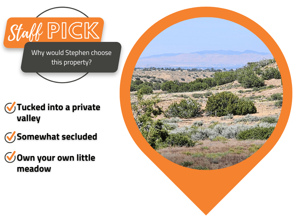 Beautiful five acre property in a quiet and secluded community11