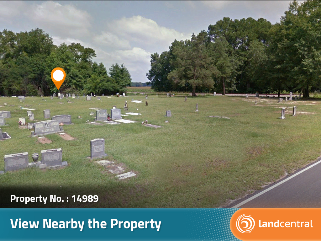 Tranquil Undeveloped Lot in Bladen County, North Carolina7