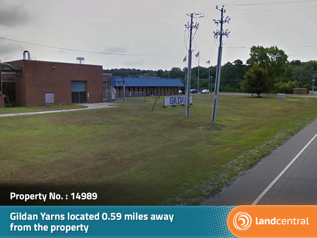 Tranquil Undeveloped Lot in Bladen County, North Carolina8